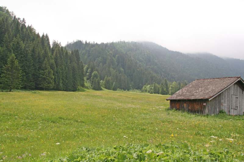 Neuschwanstein juni 2011 - 135